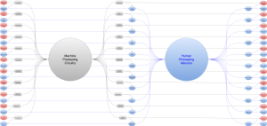 Senses ---- Sensor Map