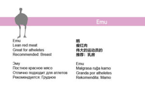 mm-phi-booklet8